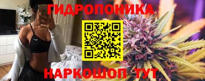 трава Шахты